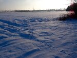 DSC02992.jpg