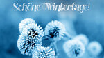 Kostenlose-eCards-Wintermotive-1024x576-ea9c2a840eaf4db5.jpg