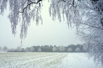 dsc01288o5s6k.jpg