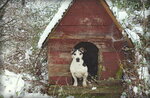 dsc01348n7s1f.jpg