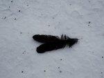 DSC03000.jpg
