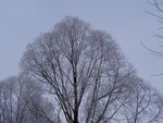 DSC03010.jpg