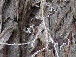 DSC03008.jpg