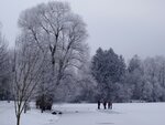 DSC03015.jpg