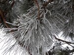 DSC03019.jpg