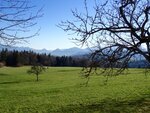 DSC03046 (2).jpg