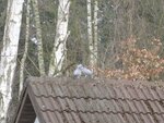 Bild oder Video 400.jpg