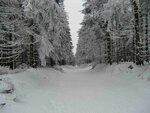 a20160217_1397.jpg
