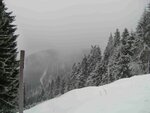 b20160217_1375.jpg