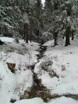 c20160217_1381.jpg