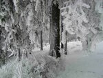d20160217_1403.jpg