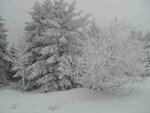 h20160217_1382.jpg