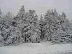 j20160217_1408.jpg