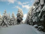 20160108_1264.jpg