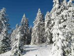 20160108_1273.jpg