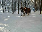 20160108_1276.jpg