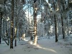 20160108_1277.jpg