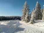 20160108_1285.jpg
