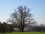 DSC03096.jpg