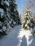 20160227_1517.jpg