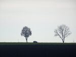 DSC03100.jpg