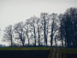 DSC03101.jpg