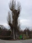 IMG_0466.jpg