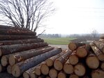 DSC03113.jpg