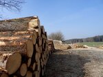 DSC03116.jpg