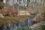 ImageUploadedBySymptome.ch1458410076.241234.jpg