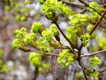 DSC03161.jpg