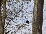 DSC03177.jpg