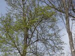 DSC03179.jpg