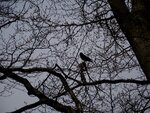 DSC03182.jpg