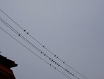 DSC03194.jpg