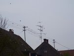 DSC03197.jpg