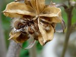 DSC03201.jpg