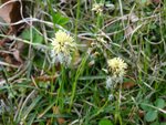 DSC03210.jpg