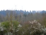 DSC03221.jpg