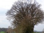 DSC03228.jpg