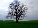 DSC03229.jpg