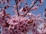 DSC03215.jpg