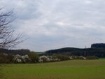 DSC03220.jpg