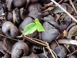 DSC03256.jpg