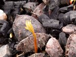 DSC03254.jpg