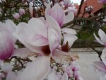 DSC03257.jpg