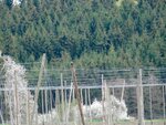DSC03246.jpg