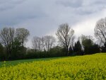 DSC03337.jpg