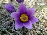 20160410_1651.JPG