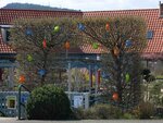 20160410_1663neu.jpg